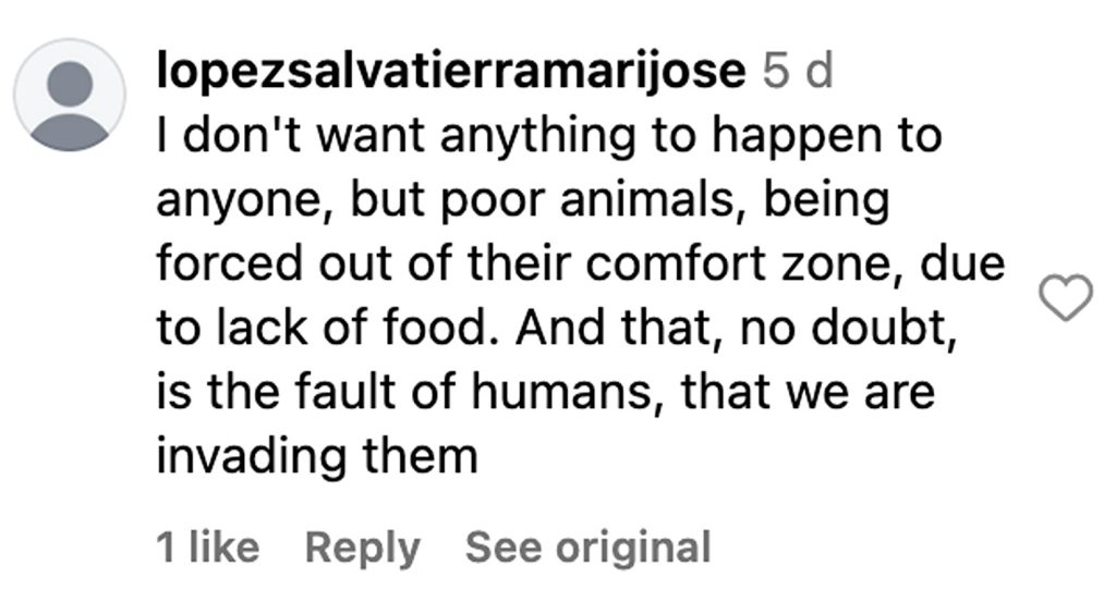 Social media comment on the post of Biker narrowly avoids crashing into herd of wild boars on dark Costa del Sol road, as locals warn of rising boar numbers and urge drivers to slow down for safety.