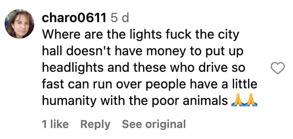 Social media comment on the post of Biker narrowly avoids crashing into herd of wild boars on dark Costa del Sol road, as locals warn of rising boar numbers and urge drivers to slow down for safety.