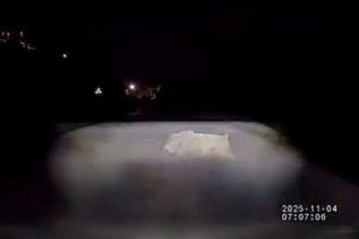 Biker narrowly avoids crashing into herd of wild boars on dark Costa del Sol road, as locals warn of rising boar numbers and urge drivers to slow down for safety.