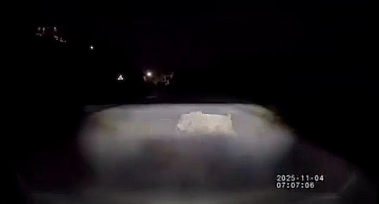 Biker narrowly avoids crashing into herd of wild boars on dark Costa del Sol road, as locals warn of rising boar numbers and urge drivers to slow down for safety.