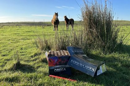 Sir Stephen Fry backs campaign to cut firework noise to protect animals after horses died from fright. Over 100,000 sign Redwings petition urging limit to 90 decibels.