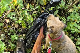 A dog walker was left terrified after his Border Terrier discovered a rifle hidden in a bin bag in Huddersfield - the decommissioned gun was safely handed to police.