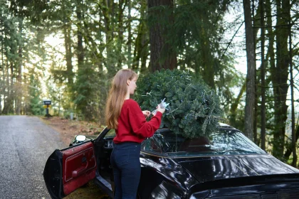 Drivers face fines up to £2500 this Christmas if they overload cars decorate vehicles block views or get distracted as experts warn motorists to follow key rules to stay safe.