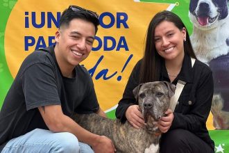A 15 year old dog named Astra Milagros survived a brutal machete attack spent six years in a shelter and finally found a loving forever home in Bogotá thanks to her inspiring resilience.