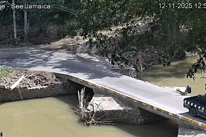 A 73 year old man fell from a police car into Jamaicas Rio Cobre at Flat Bridge sparking investigations as strong currents swept him downstream in a tragic incident.