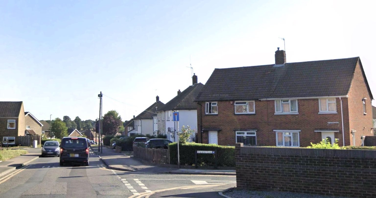 A kitten thrown from a moving car in south east London was found dead moments later prompting RSPCA outrage as they urge responsible options for unwanted pets instead of cruelty.