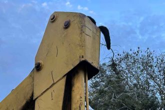 Cat Misty rescued after getting stuck 15ft up in a JCB’s hydraulic arm as firefighters and wildlife volunteers spend 12 hours freeing the frightened moggy before reuniting her with owners.