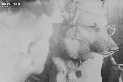 Rare wartime footage shows Nazi officials partying with a pipe smoking dog at a Dutch hotel revealing unusual scenes of soldiers SS members and locals celebrating during occupation.