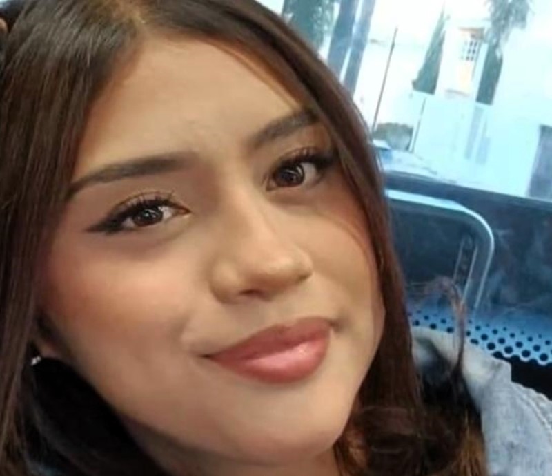 Teenager vanishes after flying to meet man she met on online game Free Fire. Lucero Alejandra Encino Rodríguez, 18, sent a farewell message before deleting her accounts.