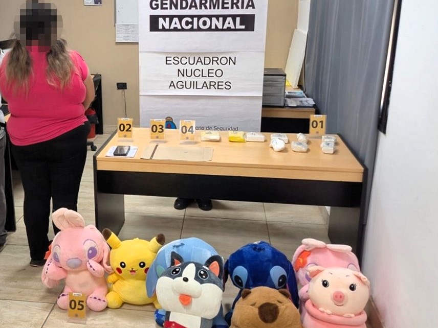 Argentine officers seize over six pounds of cocaine hidden in Pokémon and Stitch toys after a sniffer dog flagged a passenger’s bags leading to the arrest of a Bolivian woman on a coach.