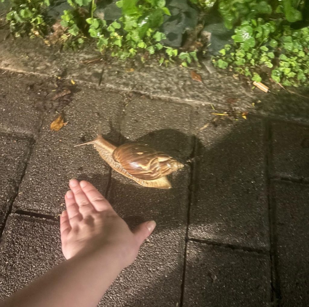 Travel influencer Karolina Wachowicz shares her eye opening month in China from strict surveillance to curious kids and bold foods creating a fascinating cultural adventure.