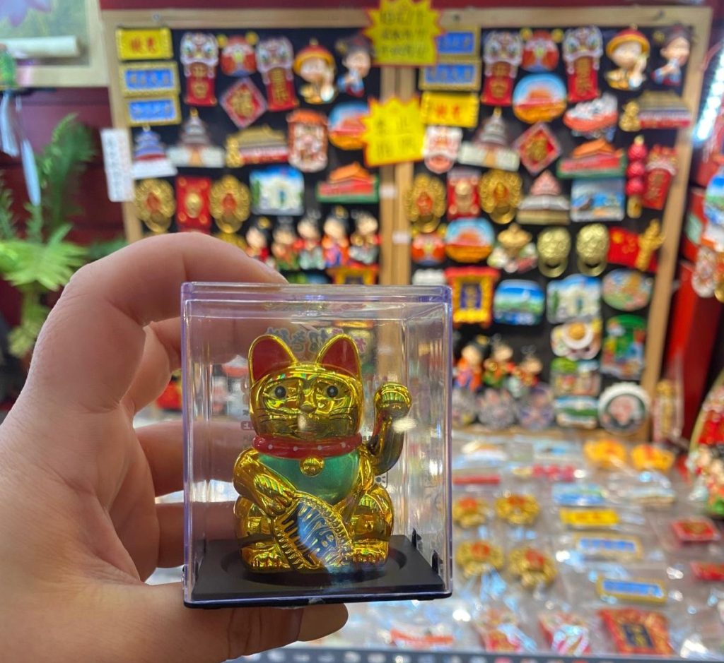 Travel influencer Karolina Wachowicz shares her eye opening month in China from strict surveillance to curious kids and bold foods creating a fascinating cultural adventure.