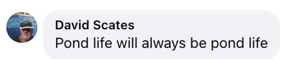 Social media comment on the post of Brave McDonalds worker confronts violent youths during chaotic attack in north London branch, shielding himself as bottles were thrown and earning praise for standing his ground.