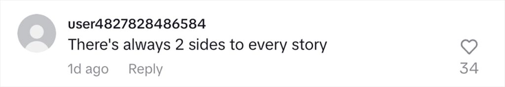 Social media comment on the post of Bus driver confronted after flashing headlights 106 times at car near Leytonstone alarming parent and child sparking road safety concerns as police TfL and operator are contacted.