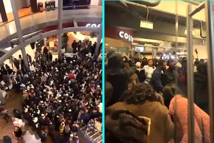 Cinema chaos erupts at packed Odeon Greenwich premiere as crowds push and scream leaving mother and daughter stressed calling scenes unsafe and disorganised.