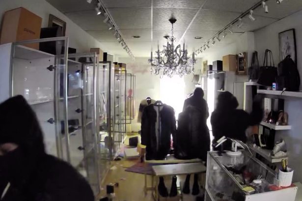 Six masked raiders cleared out a luxury boutique in under a minute, stealing nearly all inventory worth up to £2,960 per item during an early morning burglary in Chicago.