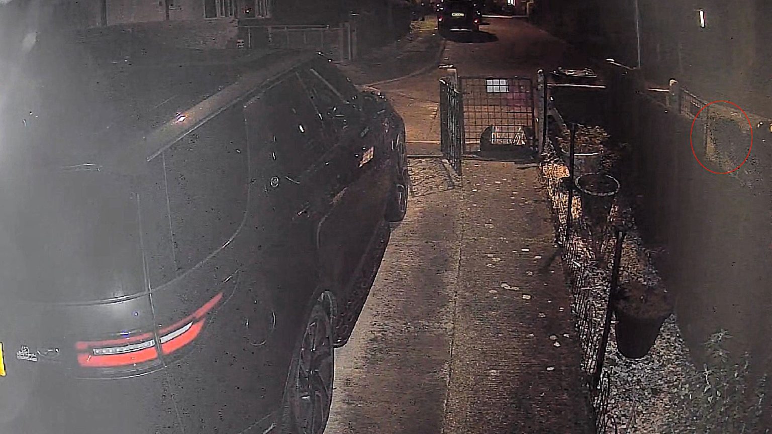 CCTV captured a mysterious dog-sized big cat prowling a Malvern driveway at 2am, with the large animal triggering motion sensors that ignore domestic cats and shocking the homeowner.