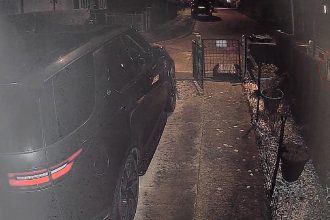 CCTV captured a mysterious dog-sized big cat prowling a Malvern driveway at 2am, with the large animal triggering motion sensors that ignore domestic cats and shocking the homeowner.