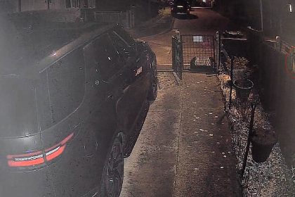 CCTV captured a mysterious dog-sized big cat prowling a Malvern driveway at 2am, with the large animal triggering motion sensors that ignore domestic cats and shocking the homeowner.
