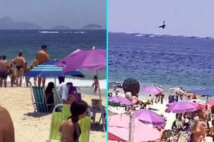 A pilot died on his first day when his advertising banner plane nose-dived into the sea off Rio's Copacabana Beach, with his body recovered two hours later as investigators examine the wreckage.
