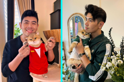 Malaysian viral cat Jellybean, known for modelling in AirAsia ads, died suddenly at 10 years old, with her owner announcing the death a month later on what would have been her birthday.