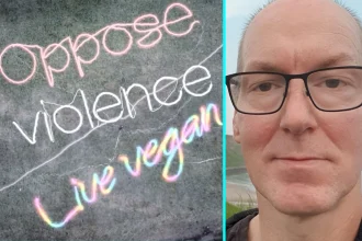 Animal activist Fred Brown creates dazzling pro-vegan light artwork in field using Lidl lights and long exposure photography. He spelled out Oppose violence, live vegan.