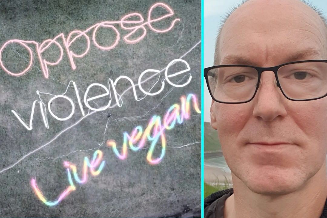 Animal activist Fred Brown creates dazzling pro-vegan light artwork in field using Lidl lights and long exposure photography. He spelled out Oppose violence, live vegan.