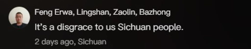 Social media comment on the post of Brawl erupts between women at soup festival in Leshan City, China as attendees scramble for seats at annual event. Organiser had to slaughter four pigs for extra crowd.