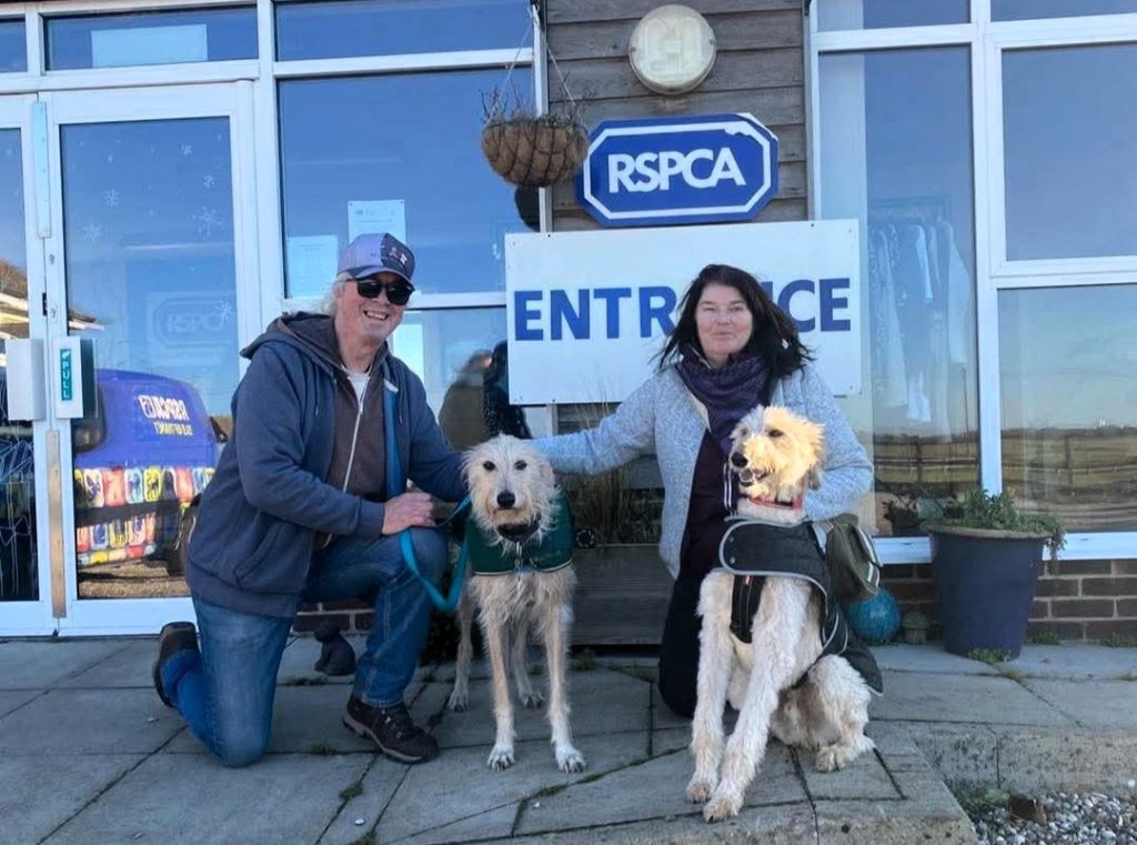 Britain's most unloved dog Teddy found dumped on Maidstone roundabout finally finds home after 2.5 years. Gaz and Wendy visited 15 times before adopting traumatised lurcher.