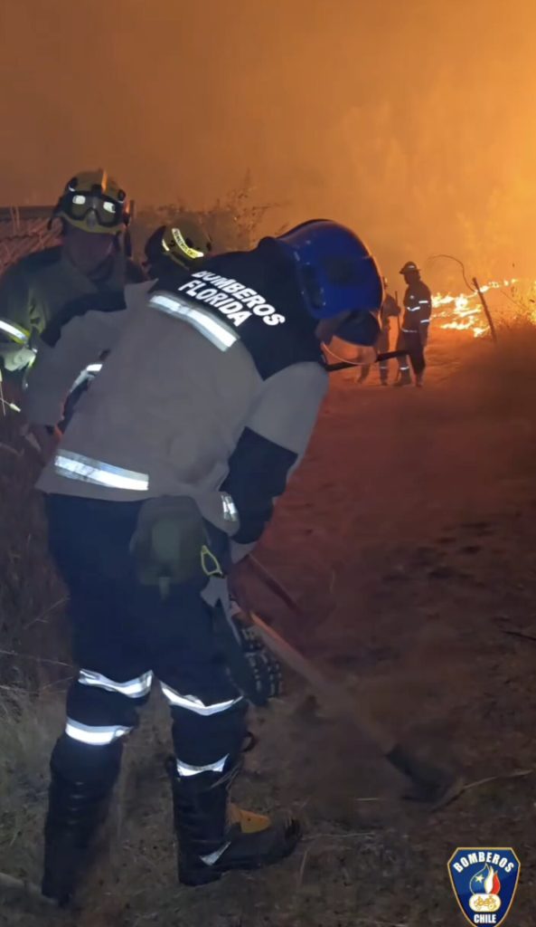 Young footballer Alvaro Aroca, 20, and mother Paola Bustamante die trapped in devastating Chilean forest fire that devoured their home. Found in bathroom with their pets.