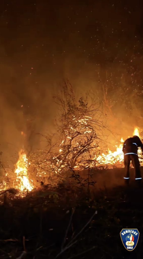Young footballer Alvaro Aroca, 20, and mother Paola Bustamante die trapped in devastating Chilean forest fire that devoured their home. Found in bathroom with their pets.