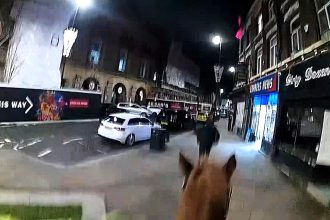 Fugitive Ben Cottam, 41, was chased down and arrested by mounted police officer PC Loder on horse PH Rufford in Blackburn town centre. He tried to outrun them but failed.