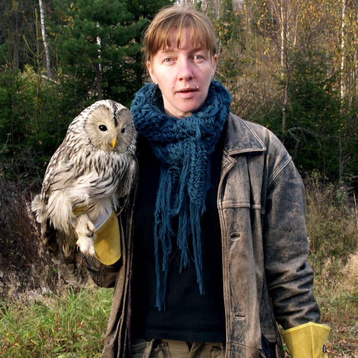 Critically-endangered barn owl discovered hopping in distress on Swedish farm near Stockholm dies after being found with crushed eye and shoulder injury. Euthanised.