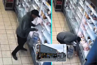 Crook caught stealing five packets of salmon from Co-op in Forest Gate, east London at 4pm yesterday. Witness saw thief sweep fish off shelves and stuff into plastic bag.