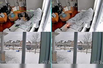 Pet dog starts house fire by chewing lithium-ion battery glove - pet camera captures moment flames spread on sofa. Firefighters rescue dog in Ottawa.