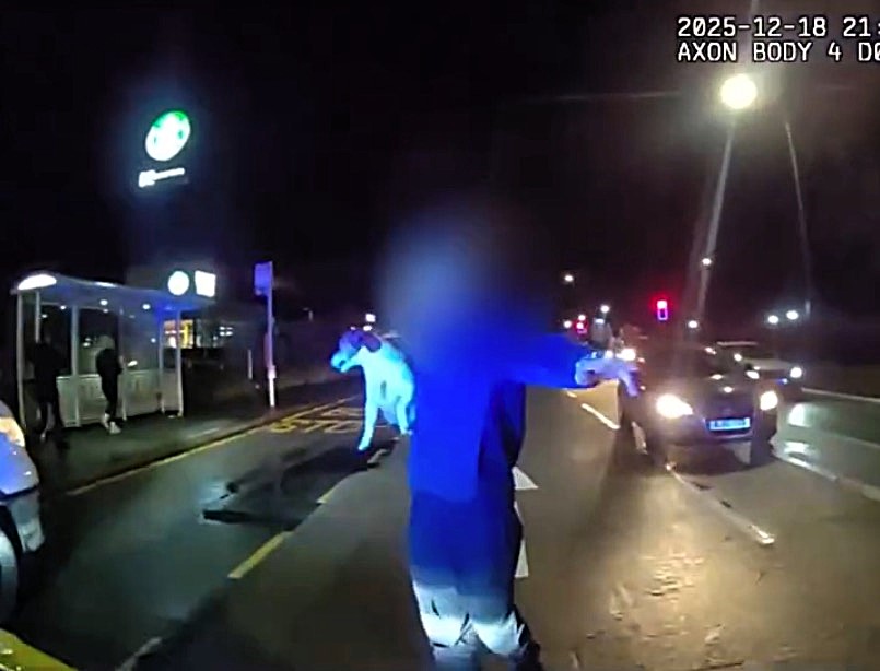 Dog-carrying BMW driver caught four times over drink-drive limit after crashing into car in Derbyshire, registering 153 micrograms when legal limit is just 35 micrograms.