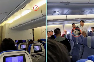 Pesky sparrow caused 50-minute delay on Cathay Pacific flight to Taiwan after sneaking into cabin at Hong Kong airport. Passenger caught bird using a blanket to applause.
