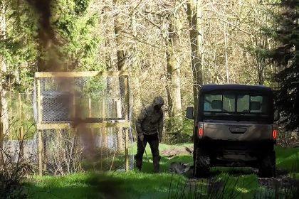 Gamekeeper Thomas Munday caught on spy camera beating protected buzzard to death. He was fined £1,215 and lost his job after the brutal attack near York.