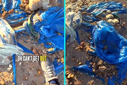 Beach walker stumped after finding what appears to be a half-buried parachute in sand at Bournemouth beach. James Lees couldn't pull it out and feared someone was attached beneath.