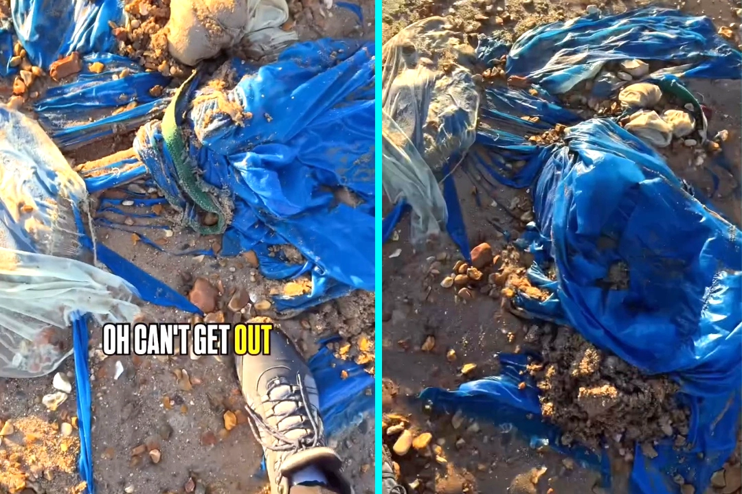 Beach walker stumped after finding what appears to be a half-buried parachute in sand at Bournemouth beach. James Lees couldn't pull it out and feared someone was attached beneath.