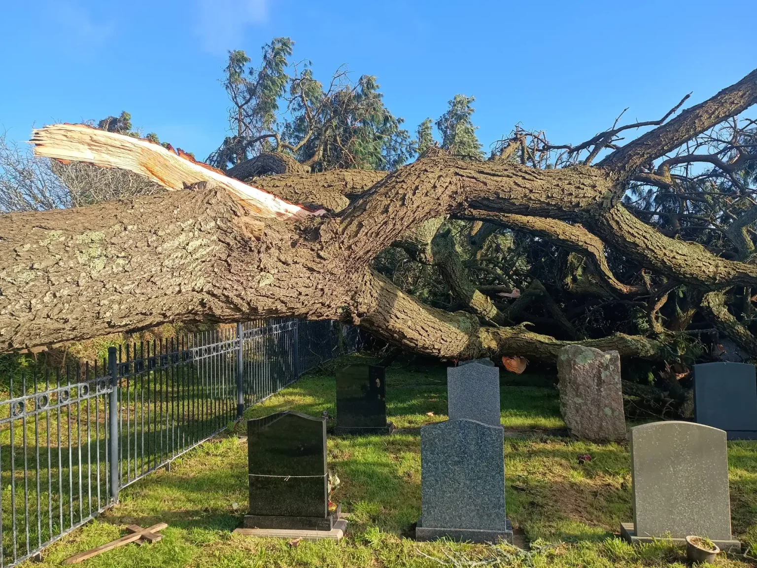 Storm Goretti uproots trees disturbing graves including child's at Cornwall cemetery. Artist discovers devastating damage near Penzance as roads remain closed.
