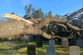 Storm Goretti uproots trees disturbing graves including child's at Cornwall cemetery. Artist discovers devastating damage near Penzance as roads remain closed.