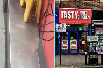 Customer stunned after filming mouse inside Tasty Fried Chicken shop near Wembley Stadium in London. The rodent was spotted near the door before vanishing.