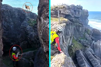 Nanny goat and kid rescued from cliff edge in Ajo, Spain by hero firefighters - mother unable to help baby climb up rocks, both saved from crashing Cantabrian waves.
