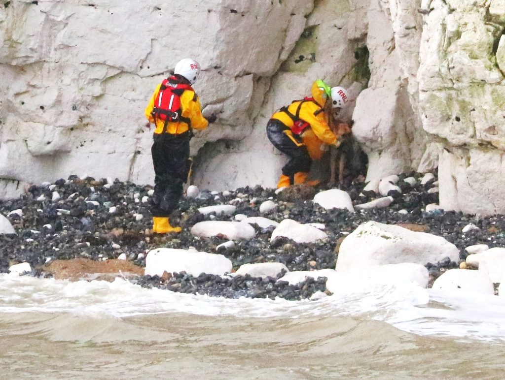 Soggy doggy plucked to safety after getting marooned on rocks as tide came in near Broadstairs, Kent. RNLI lifeboat crew rescued the Malinois Alsatian cross with minutes to spare.
