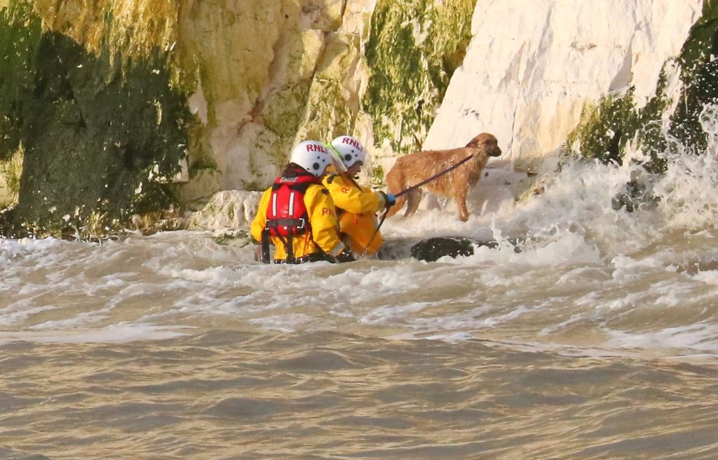 Soggy doggy plucked to safety after getting marooned on rocks as tide came in near Broadstairs, Kent. RNLI lifeboat crew rescued the Malinois Alsatian cross with minutes to spare.