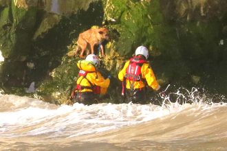 Soggy doggy plucked to safety after getting marooned on rocks as tide came in near Broadstairs, Kent. RNLI lifeboat crew rescued the Malinois Alsatian cross with minutes to spare.