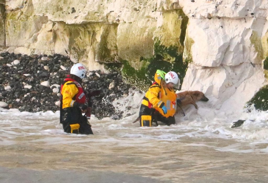 Soggy doggy plucked to safety after getting marooned on rocks as tide came in near Broadstairs, Kent. RNLI lifeboat crew rescued the Malinois Alsatian cross with minutes to spare.