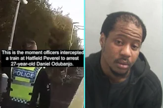 Sex fiend Daniel Odubanjo, 27, trapped woman in train toilet and sexually assaulted her, then attacked 17-year-old girl minutes later. Police arrested him at next station.