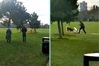 Three people forced to pull enraged husky off swan during shocking attack in Burgess Park, south-east London. Ricardo Bowen captured violent clash. Swan escaped shaken.
